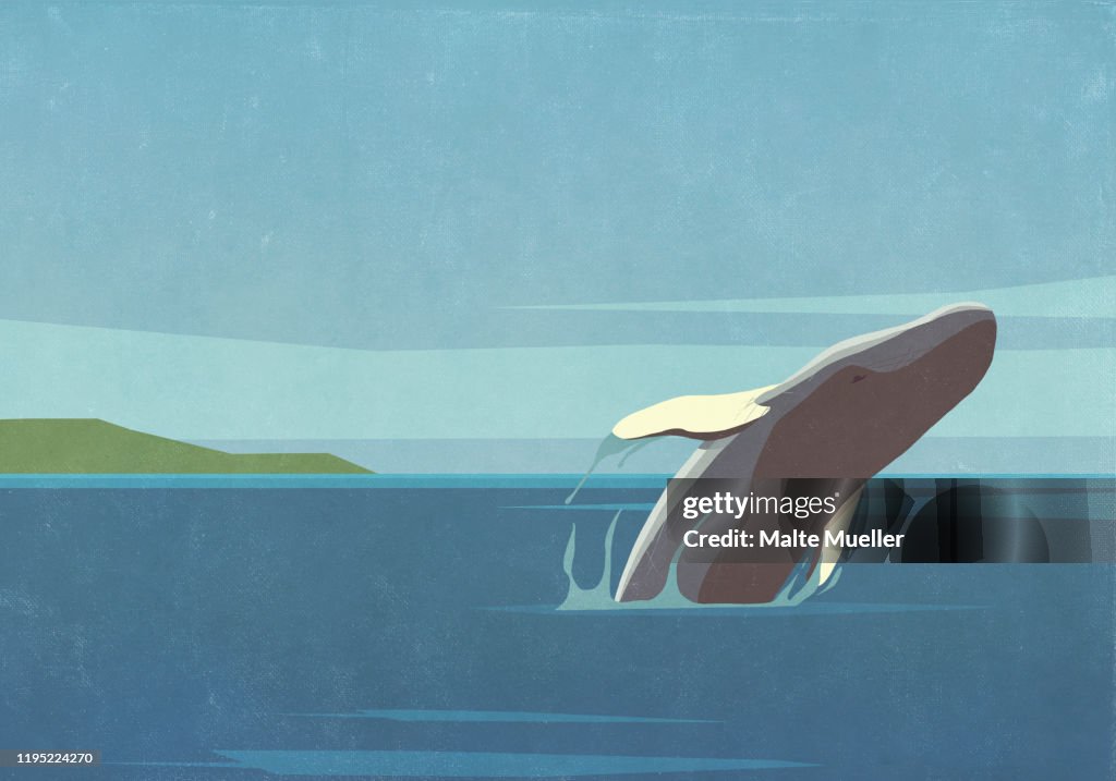 Whale breaching in ocean