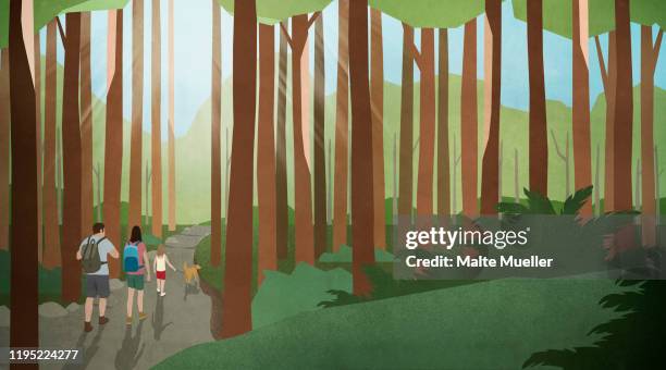 family with dog hiking in sunny, idyllic woods - forest illustration stock illustrations