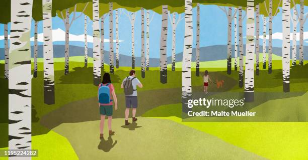 family with dog hiking among birch trees in idyllic woods - discovery bags walking stock-grafiken, -clipart, -cartoons und -symbole