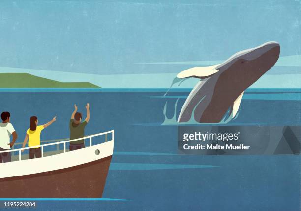 ilustraciones, imágenes clip art, dibujos animados e iconos de stock de tourists on boat watching breaching whale in ocean - whale watching