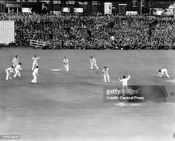 Fred Trueman bowls his final set for England in the Third Test against India at Old Trafford, Manchester, 19th July 1952. The batsman is Pankaj Roy .