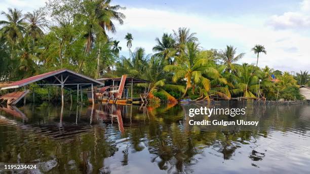 view from boat floating through klias wetland, borneo, malaysia - nature reserve stock pictures, royalty-free photos & images