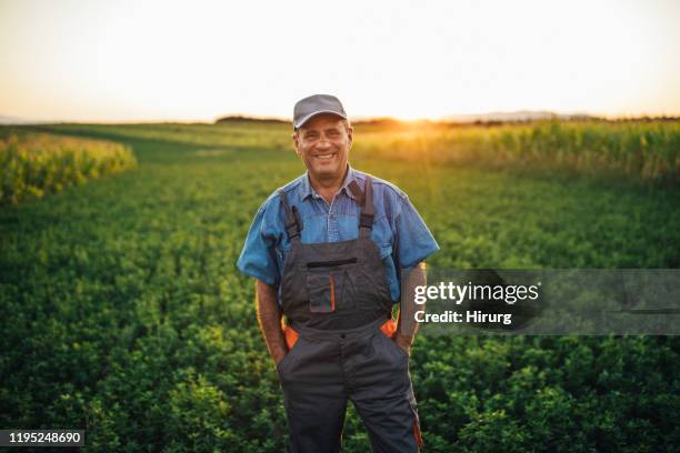 cheerful senior farmer in field - rancher stock pictures, royalty-free photos & images