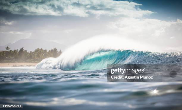 waves of hawaii - surf tube stock-fotos und bilder