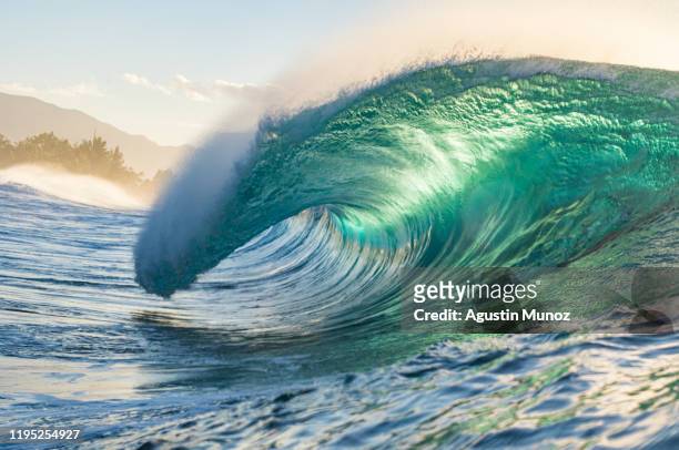 waves of hawaii - surf tube stock pictures, royalty-free photos & images