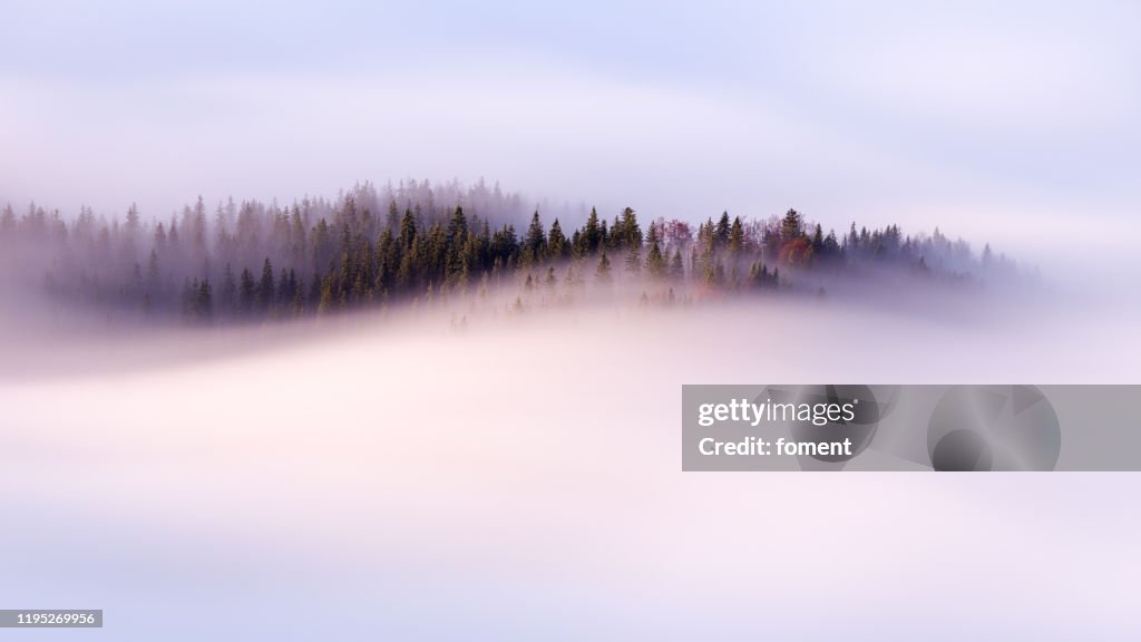 Slow moving clouds over the pine forest in the German alps