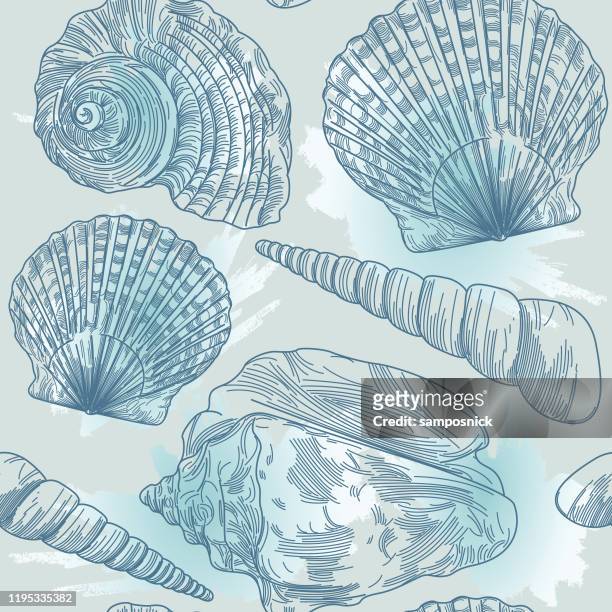 ilustrações de stock, clip art, desenhos animados e ícones de splashy seashell seamless pattern - concha do mar