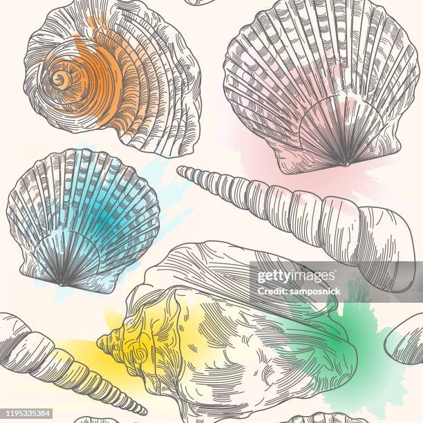 splashy seashell seamless pattern - scallop shell vector stock illustrations