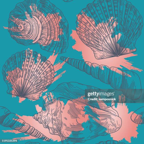 splashy seashell seamless pattern - scallop pattern stock illustrations