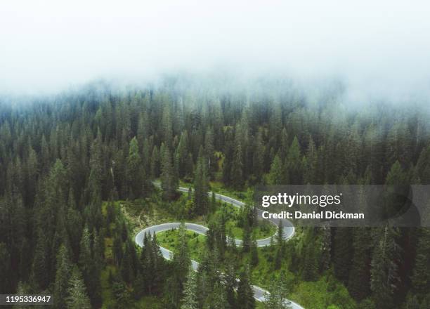 winding road through the forest drone aerial - looking down the road stock pictures, royalty-free photos & images