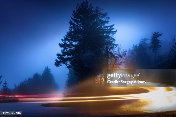 night landscape with serpentine road in black forest nature reserve - rear light car stock pictures, royalty-free photos & images