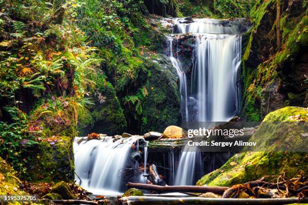 landscape of geroldsau waterfall powerful stream - schwarzwald fotografías e imágenes de stock