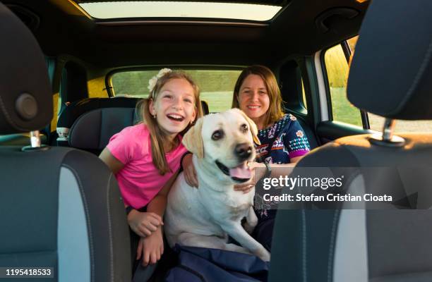 yello labrador and girls sitting in a car - happy yello stock pictures, royalty-free photos & images
