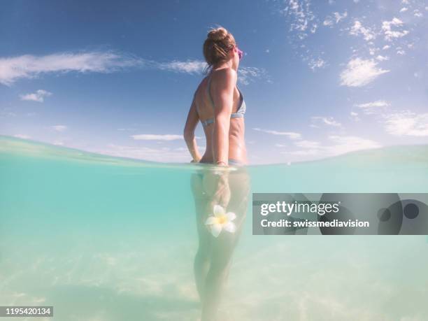 onderwater ontsproten van vrouw die zich op strand bevindt, die omhoog kijkt - half underwater stockfoto's en -beelden