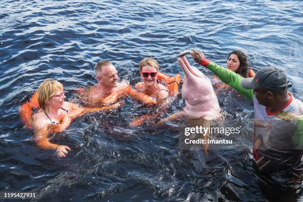 toeristen voeden de beroemde roze dolfijn in manaus, brazilië - boto river dolphin stockfoto's en -beelden