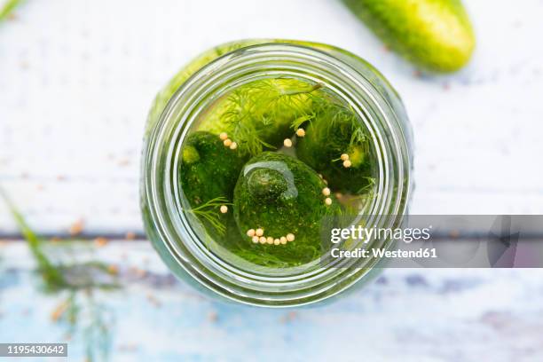 overhead view of pickled dill pickles with mustard seeds - dill stock-fotos und bilder