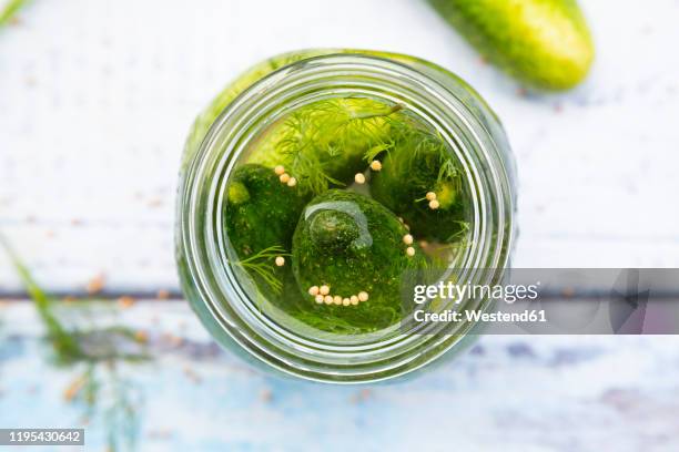 overhead view of pickled dill pickles with mustard seeds - 泡菜 個照片及圖片檔