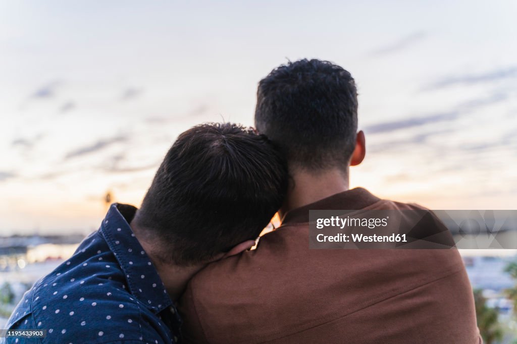 Rear view of gay couple on lookout above the city, Barcelona, Spain