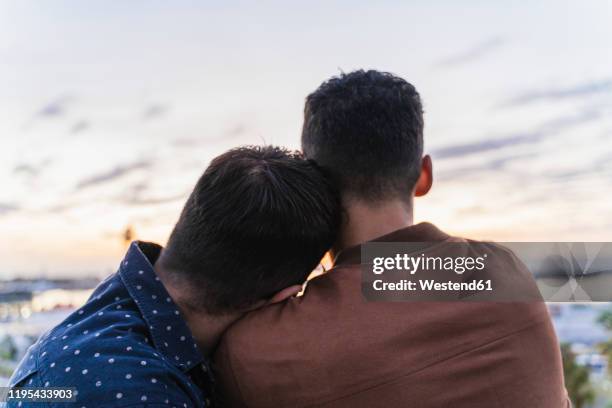 rear view of gay couple on lookout above the city, barcelona, spain - gay man ストックフォトと画像