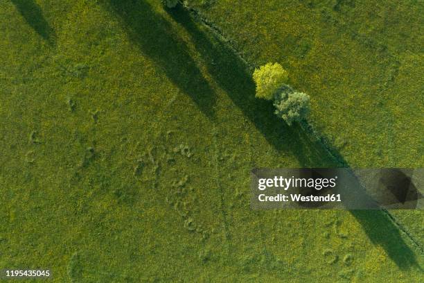 germany, bavaria, aerial view of green countryside meadow in spring - wiese von oben stock-fotos und bilder