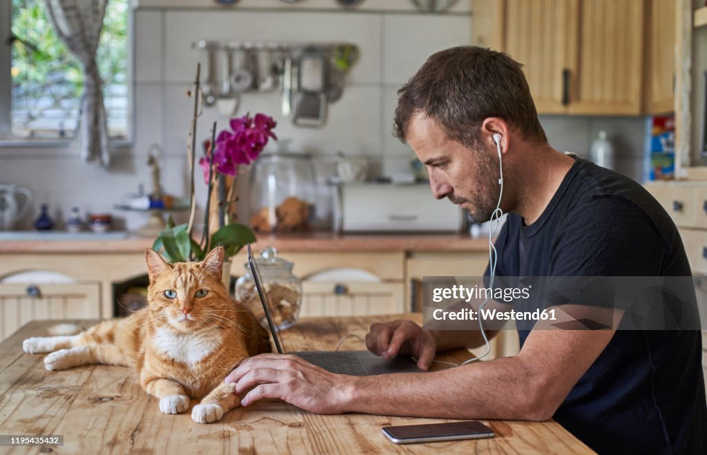 Man working from home, sitting at kitchen table with cat, using laptop