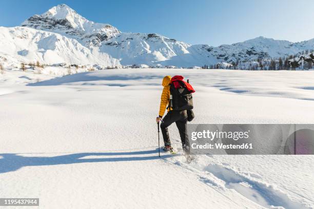 hiking with snowshoes in the mountains, valmalenco, sondrio, italy - racchetta da neve attrezzatura sportiva foto e immagini stock