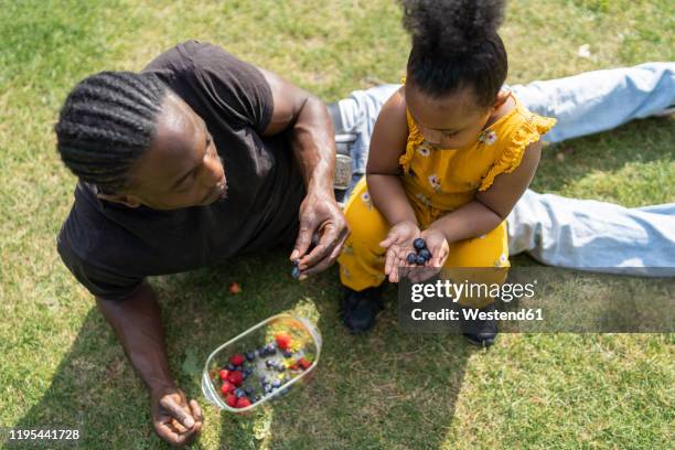 girl with father holding blueberries on a meadow in a park - african cornrow braids stock pictures, royalty-free photos & images