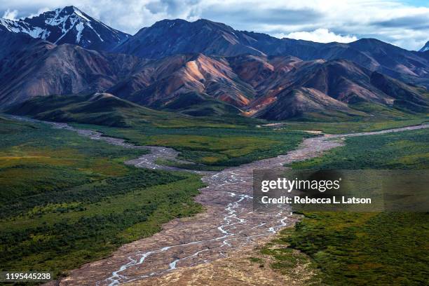 late afternoon at polychrome pass - flood plain stock pictures, royalty-free photos & images