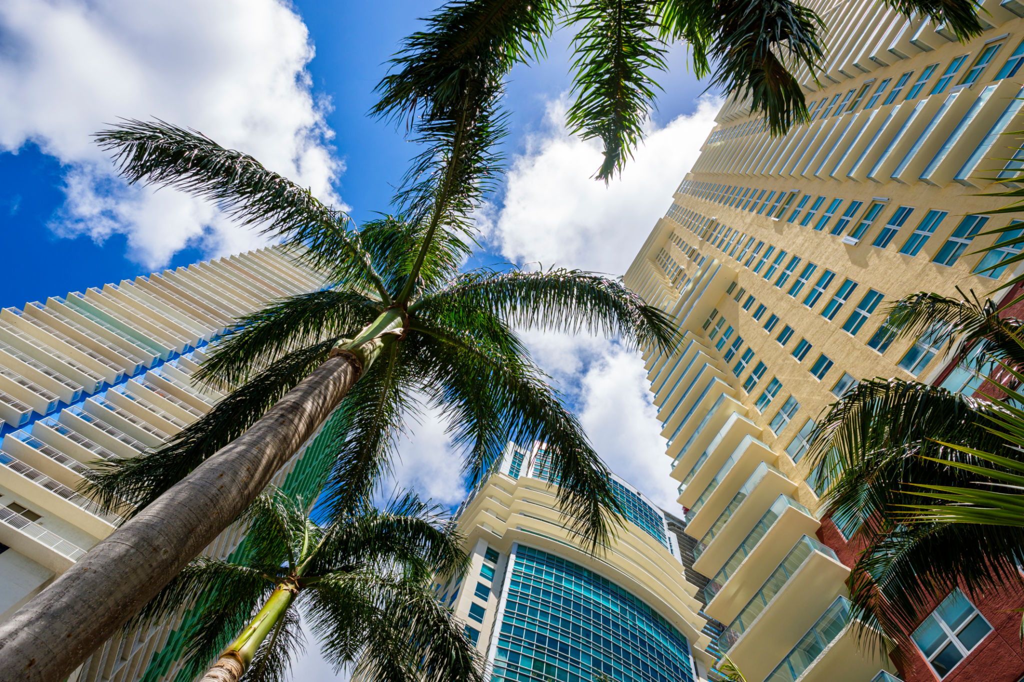 Downtown Miami Brickell Downtown Miami Brickell