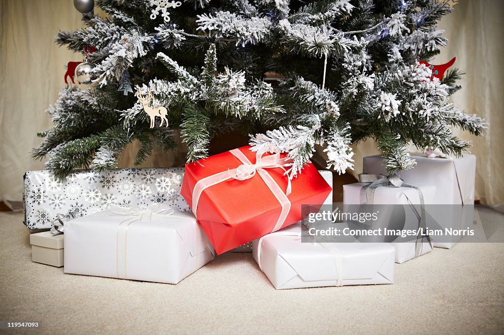 Wrapped gifts underneath Christmas tree