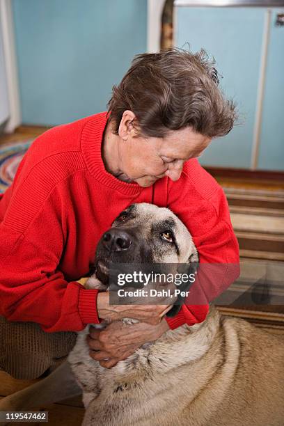 senior woman hugging dog - big hug stock pictures, royalty-free photos & images