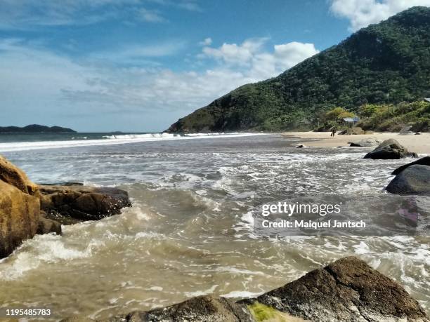 brook reaching the sea at the beautiful solidão beach (loneliness beach) in florianópolis, santa catarina - brazil - solidão stock-fotos und bilder