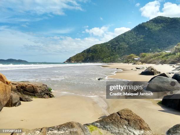 brook reaching the sea at the beautiful solidão beach (loneliness beach) in florianópolis, santa catarina - brazil - santa catarina brasilien stock-fotos und bilder