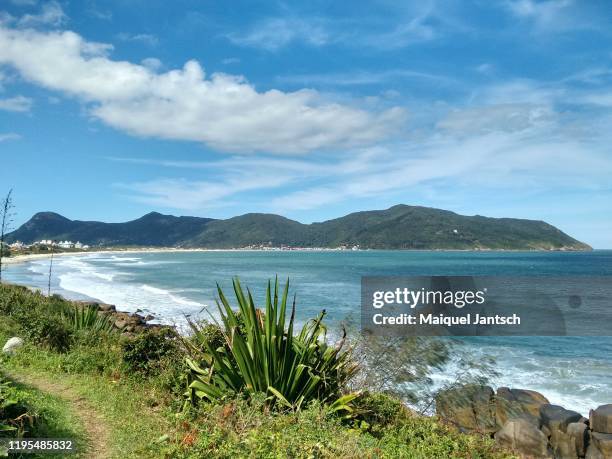 view of untouched solidão beach (loneliness beach)  in florianópolis, santa catarina state - brazil - solidão stock-fotos und bilder