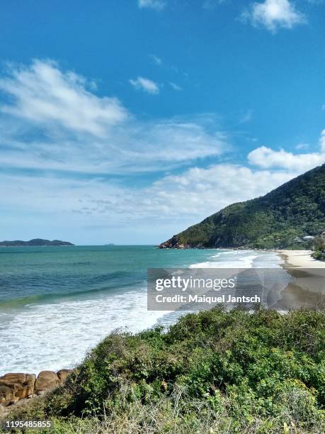 view of untouched solidão beach (loneliness beach)  in florianópolis, santa catarina state - brazil - solidão stock-fotos und bilder