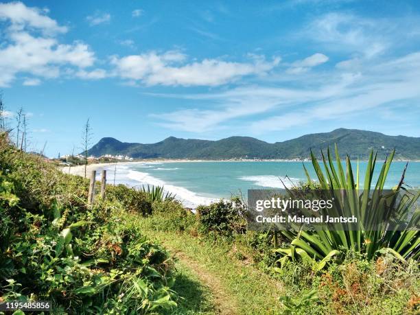 view of untouched solidão beach (loneliness beach)  in florianópolis, santa catarina state - brazil - solidão stock-fotos und bilder