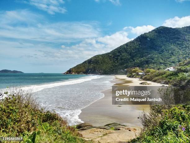 view of a beach in the brazilian atlantic forest - mata atlantica stock-fotos und bilder