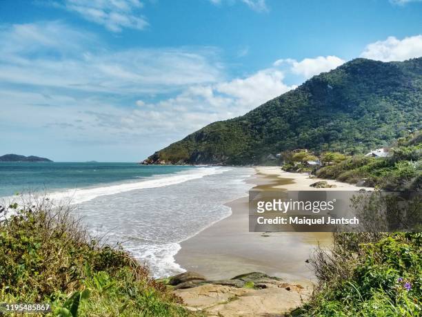view of a beach in the brazilian atlantic forest - florianopolis foto e immagini stock