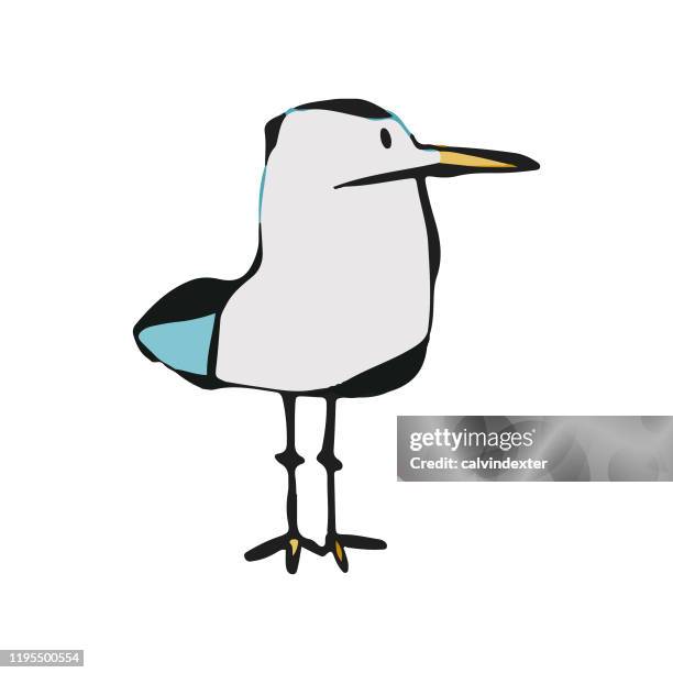 seagull cartoon drawing - seagull sea stock illustrations