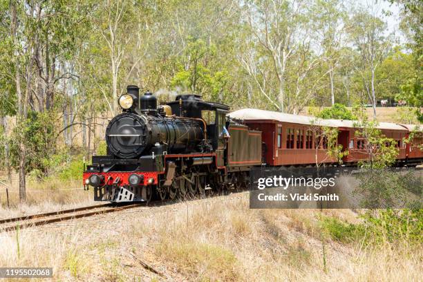 old stream train travelling through the bush - history and progress of the steam engine stock pictures, royalty-free photos & images
