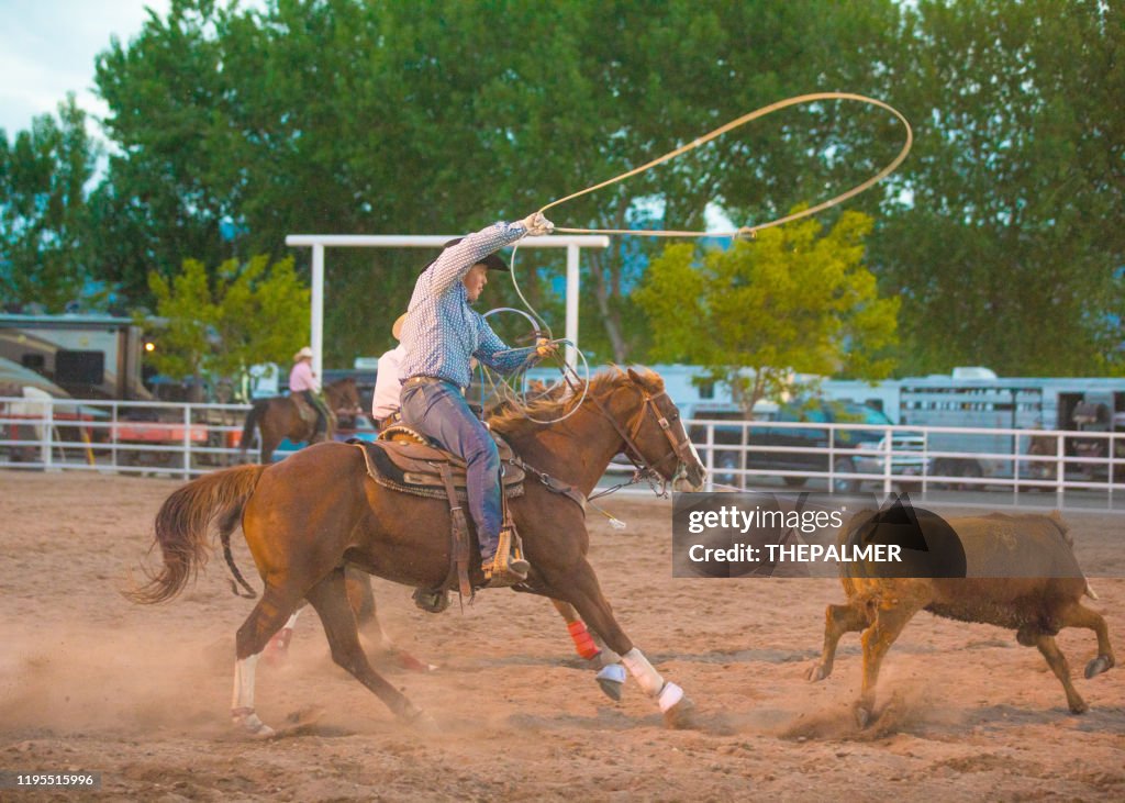 Team Roping Rodeo Action High-Res Stock Photo - Getty Images
