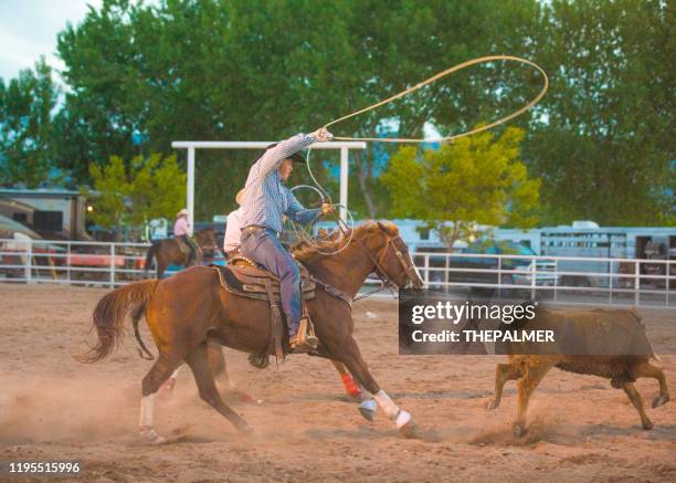 Rope Rodeo Design Team Roping Rodeo Action High-Res Stock Photo - Getty Images