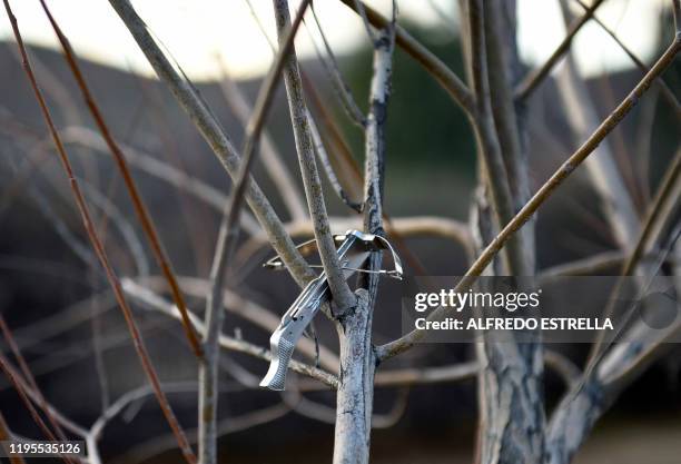 Crossbow toy is seen at La Mora ranch -home of nine Mormons who died after an ambush by drug related hitmen- in Bavispe, Sonora state, Mexico, on...