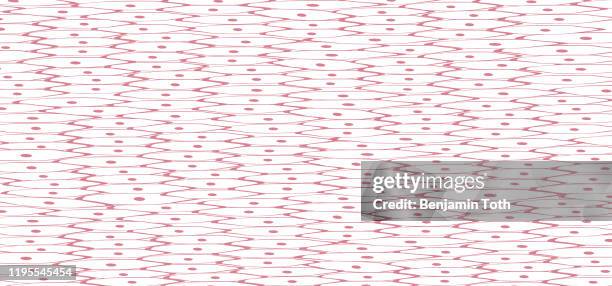 smooth muscle tissue - smooth muscle stock illustrations