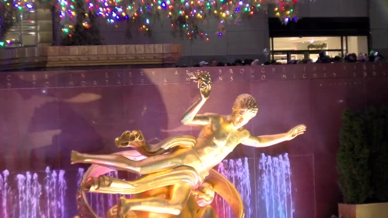 26 Prometheus Tree Stock Videos, Footage, & 4K Video Clips - Getty Images