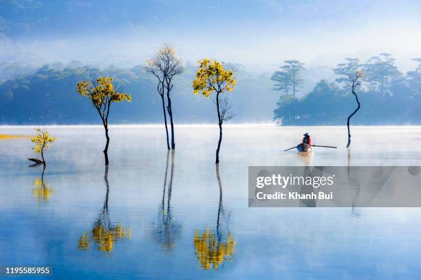 art and unique of the reflection on the lake with flooded tree and lonely fishermen at sunrise, springtime - vietnam spring stock pictures, royalty-free photos & images