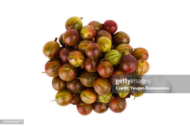 gooseberry isolated on a white background - linterna china fotografías e imágenes de stock