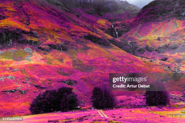 stunning infrared photography landscape of the highlands mountains in scotland. - color blindness - fotografias e filmes do acervo