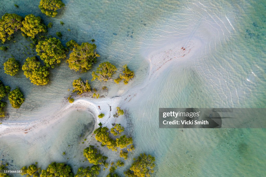 Aerial view of Patterns from the sand and ocean at low tide with mangrove trees