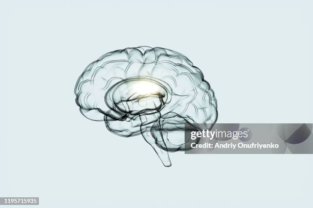 artificial intelligence brain - artificial intelligence white background stock-fotos und bilder